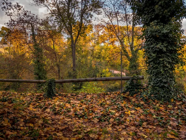 Красочная Осенняя Красота Узких Улочек Пражским Градом Пражские Парки Окрашены — стоковое фото