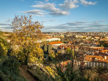 View from the gardens and vineyards of Prague Castle to picturesque Prague in the autumn setting sun. Prague, Czech Republic
