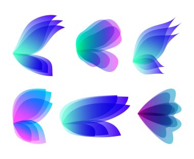 Farklı kanat tasarımı ve renkleri olan yarı saydam kelebek seti. Böcek sineği beyaz arka planda izole edilmiş. Jpeg illüstrasyonu