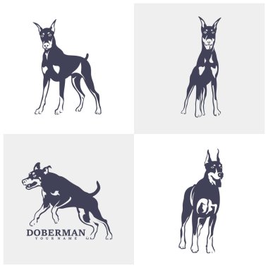 Doberman Dog logo tasarım vektörü seti. Şablon İllüstrasyonu. Simge Sembolü
