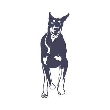 Doberman Köpek logosu tasarım vektörü. Şablon İllüstrasyonu. Simge Sembolü