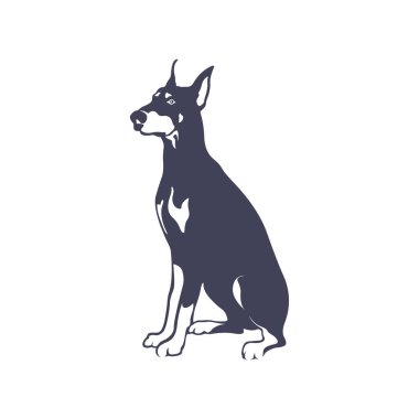 Doberman Köpek logosu tasarım vektörü. Şablon İllüstrasyonu. Simge Sembolü