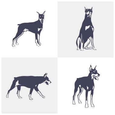 Doberman Dog logo tasarım vektörü seti. Şablon İllüstrasyonu. Simge Sembolü
