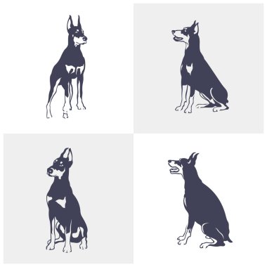 Doberman Dog logo tasarım vektörü seti. Şablon İllüstrasyonu. Simge Sembolü