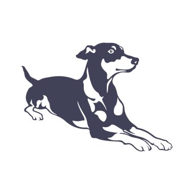 Doberman Köpek logosu tasarım vektörü. Şablon İllüstrasyonu. Simge Sembolü