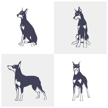 Doberman Dog logo tasarım vektörü seti. Şablon İllüstrasyonu. Simge Sembolü