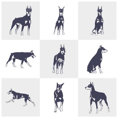 Doberman Dog logo tasarım vektörü seti. Şablon İllüstrasyonu. Simge Sembolü