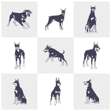 Doberman Dog logo tasarım vektörü seti. Şablon İllüstrasyonu. Simge Sembolü