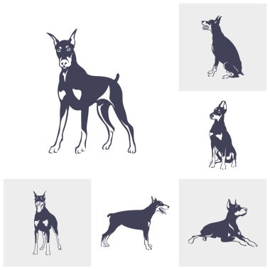 Doberman Dog logo tasarım vektörü seti. Şablon İllüstrasyonu. Simge Sembolü
