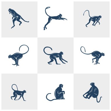 Maymun logo tasarım vektörü seti. Siluet Maymun Şablonu Çizimi. Simge Sembolü