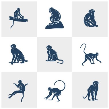 Maymun logo tasarım vektörü seti. Siluet Maymun Şablonu Çizimi. Simge Sembolü