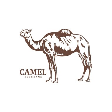 Deve logosu tasarım vektörü. Siluet Deve Şablonu Çizimi. Simge Sembolü