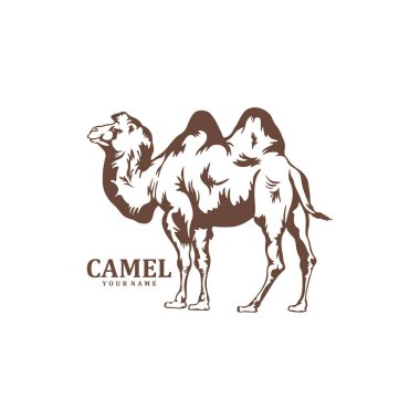 Deve logosu tasarım vektörü. Siluet Deve Şablonu Çizimi. Simge Sembolü