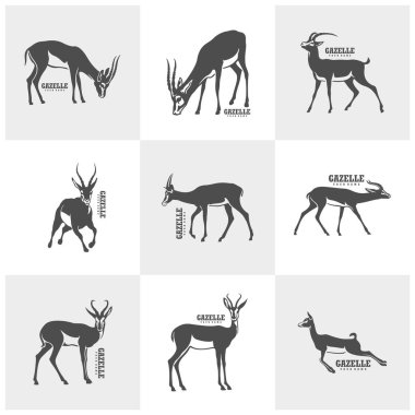 Ceylan logo tasarım vektörü seti. Siluet Gazelle Şablon Çizimi. Simge Sembolü