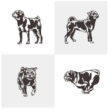 Pug Dog logo tasarım vektörü seti. Siluet Pug Dog Şablon Çizimi. Simge Sembolü
