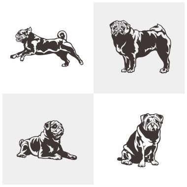 Pug Dog logo tasarım vektörü seti. Siluet Pug Dog Şablon Çizimi. Simge Sembolü