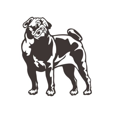 Pug Dog logo tasarım vektörü. Siluet Pug Dog Şablon Çizimi. Simge Sembolü