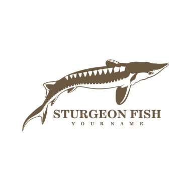 Sturgeon Fish logo tasarım vektörü. Siluet Sturgeon Balık Şablonu İllüstrasyonu.