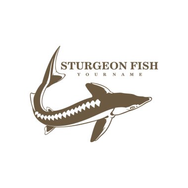 Sturgeon Fish logo tasarım vektörü. Siluet Sturgeon Balık Şablonu İllüstrasyonu.