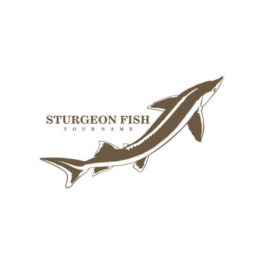 Sturgeon Fish logo tasarım vektörü. Siluet Sturgeon Balık Şablonu İllüstrasyonu.