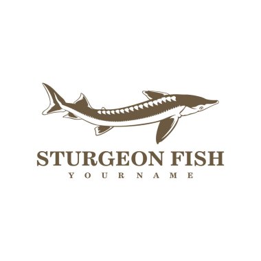 Sturgeon Fish logo tasarım vektörü. Siluet Sturgeon Balık Şablonu İllüstrasyonu.