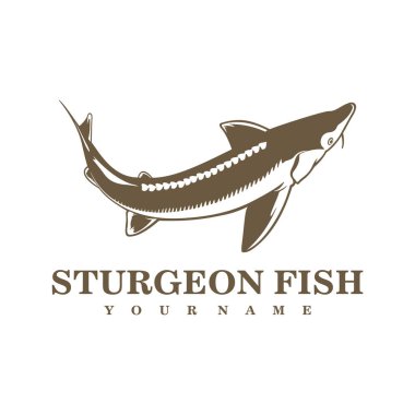 Sturgeon Fish logo tasarım vektörü. Siluet Sturgeon Balık Şablonu İllüstrasyonu.