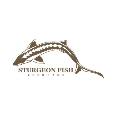 Sturgeon Fish logo tasarım vektörü. Siluet Sturgeon Balık Şablonu İllüstrasyonu.