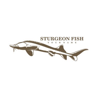 Sturgeon Fish logo tasarım vektörü. Siluet Sturgeon Balık Şablonu İllüstrasyonu.