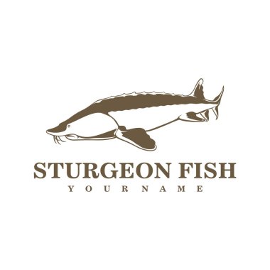 Sturgeon Fish logo tasarım vektörü. Siluet Sturgeon Balık Şablonu İllüstrasyonu.