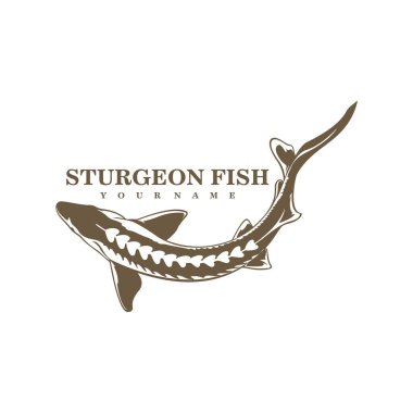 Sturgeon Fish logo tasarım vektörü. Siluet Sturgeon Balık Şablonu İllüstrasyonu.