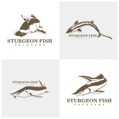 Sturgeon Fish logo tasarım vektörü. Siluet Sturgeon Balık Şablonu İllüstrasyonu.