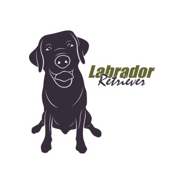 Labrador Retriever Dog logo tasarım vektörü. Siluet Labrador Retriever Şablon İllüstrasyonu