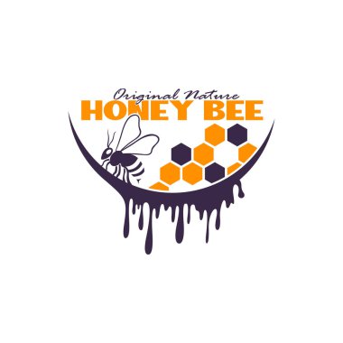 Bal arısı logosu tasarımı. Bal peteği tasarım vektör çizimi, marka için modern konsept