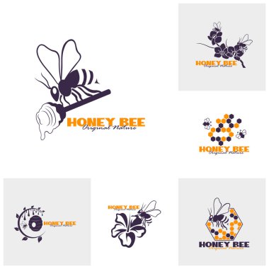Bal arısı logo tasarımı seti. Bal peteği tasarım vektör çizimi, marka için modern konsept