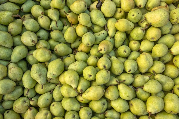 Close Shop Some European Pears — Stock Photo, Image