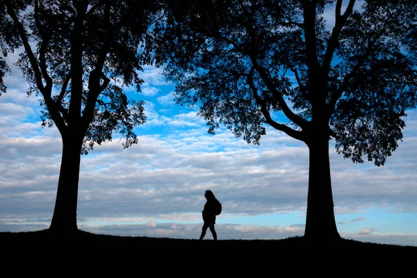 ランパリ Belfiore公園 フェラーラ イタリアを歩く女性のシルエット — ストック写真
