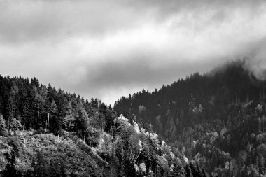 Avusturya 'daki Southern Nock Dağları' nın siyah beyaz görüntüsü.