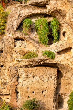 Domus Augusti 'nin kalıntıları Palatine Hill, Roma, İtalya