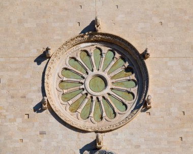 Katedralin Rose penceresi, Trani, İtalya