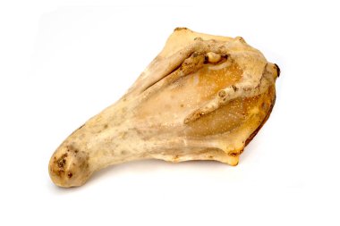 Beyaz bir arka planda eşsiz şekilli süs kabağının yakın çekimi.