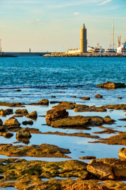 Fanale dei Pisani deniz feneri İtalya 'nın Livorno kentindeki Terrazza Mascagni yakınlarındaki kayalık sahil şeridinde görüldü..