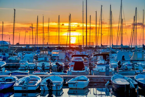 Moletto Nazario Sauro, Livorno, Toskana, İtalya 'da bir marinadır..