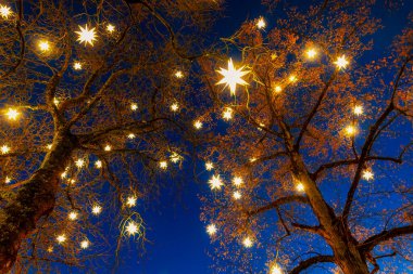 Noel sezonu boyunca Lüksemburg 'un Ville Haute şehrinde parıldayan yıldız şeklindeki ışıklarla süslenmiş ağaçlar.