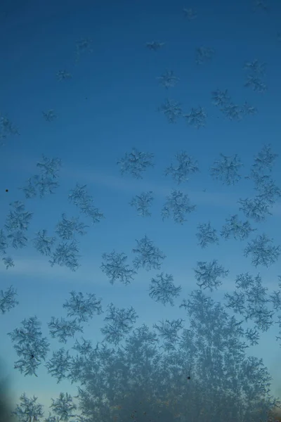 Penceredeki buz çiçekleri. Arka planda açık mavi bir gökyüzü var. Yatay.