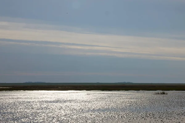 Ebb I 'in arka ışığı sırasında çamur düzleşir. Kum tabanı güneşi yansıtan suyla görülebilir..