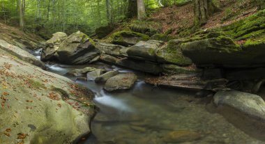Perechyn Bölgesi, Zakarpatskyi Bölgesi, Karpat Dağları ve Şelale Lumshory, Ukrayna
