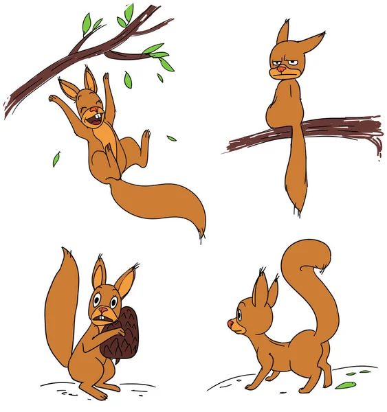 Lustiges Eichhörnchen Verschiedenen Live Posen Handgezeichnete Illustration — Stockvektor