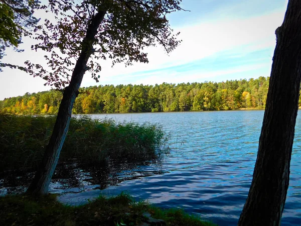Озеро Посеред Красивої Природи — стокове фото