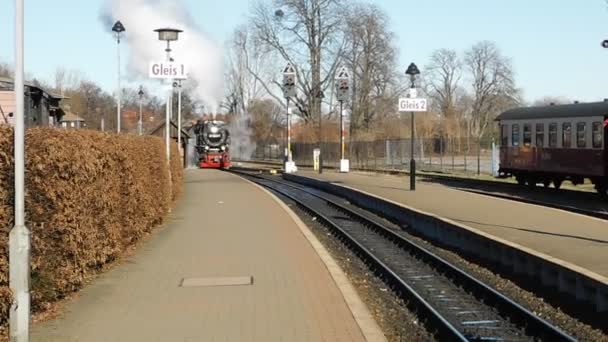 Wernigerode Saxônia Anhalt Alemanha Janeiro 2020 Entrada Locomotiva Vapor Wernigerode — Vídeo de Stock