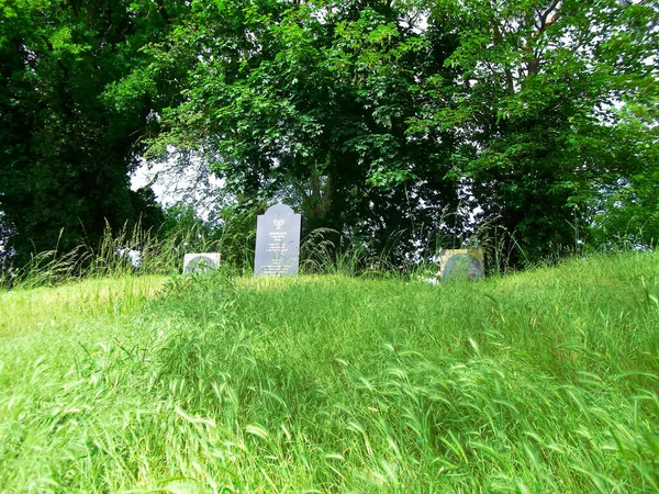春の丘の上の墓碑 — ストック写真